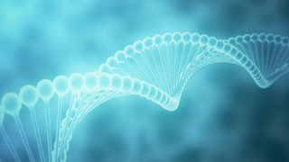 Google Is Hunting for an Autism Gene